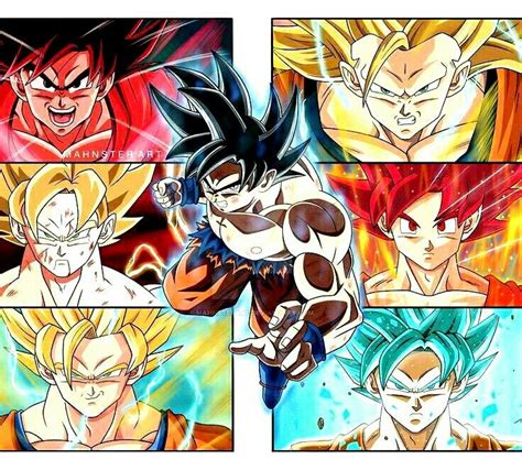 Goku Fases Anime Dragon Ball Dragon Ball Dragon Ball Super