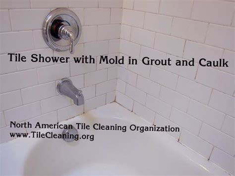 Scrub the biofilm off of hard shower surfaces. get rid of mildew in shower caulk