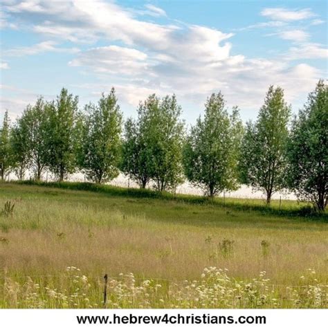 The old testament.the concept of lawlessness comes to expression frequently in the old testament through more than twenty hebrew terms (all of which the septuagint translates with anomia ).although the greek term anomia , which translates all of these terms in the septuagint, might lead one to suspect that breaking of the mosaic law (ho nomos) is primarily in view, the more. Truth and Passion... by Hebrew for Christians | Free ...