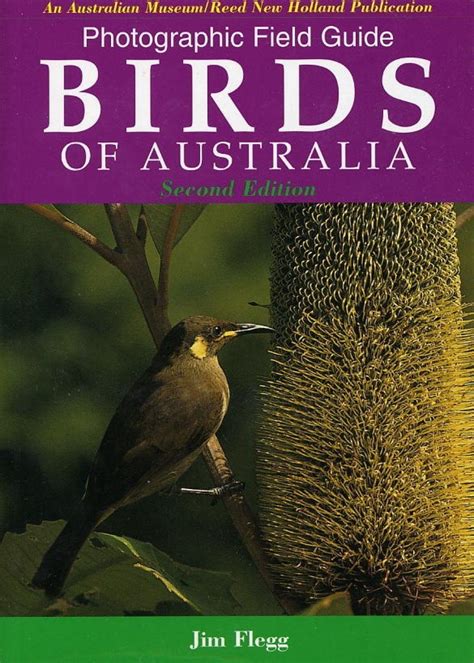 Photographic Field Guide Birds Of Australia Nhbs Field Guides