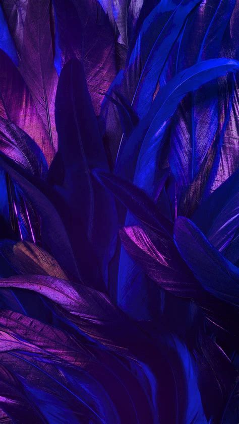 Iphone 11 Purple Wallpaper