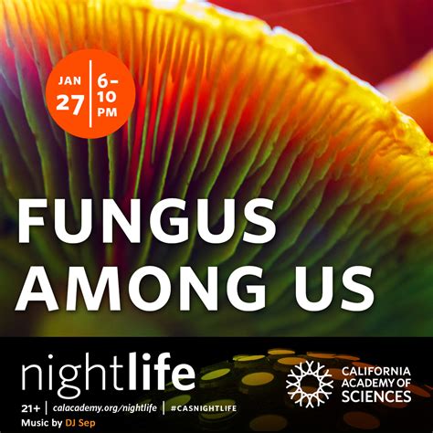 Fungus Among Us Nightlife At California Academy Of Sciences In San