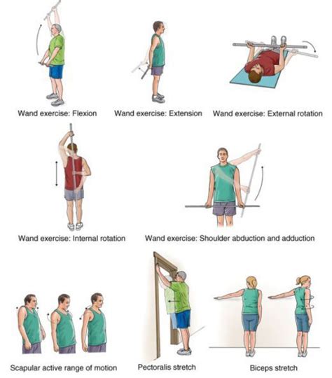 Frozen Shoulder Exercises How Fast Will They Work Shoulder Rehab
