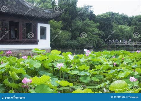Chinese Architecture And Lotus Pond Shanghai Stock Photo Image Of