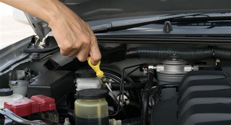 Why You Should Maintain Optimal Fluid Levels In Your Car Munich West