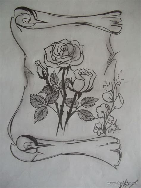 Trandafiri Schizzi D Arte Schizzi Disegno Di Occhi