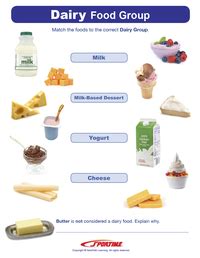 Sportime Dairy Food Group Visual Learning Guide Pages Grades To