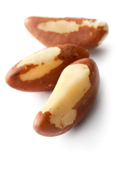 Brazil Nut Pod Stock Photos Pictures And Royalty Free Images Istock