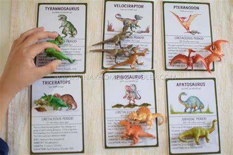 Montessori Inspired Dinosaur Activity Trays For Preschoolers The