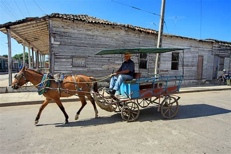 Horse And Wagon In Cruces Cienfuegos Cuba Robin Thom