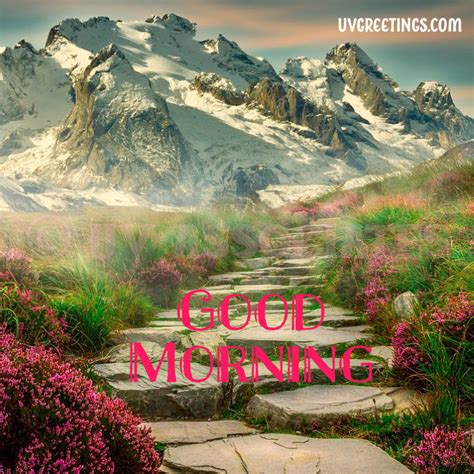 Good Morning With Landscape Images Download Landscape Morning Images