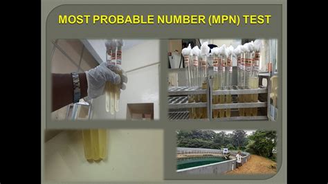 Most Probable Number Mpn Test Youtube