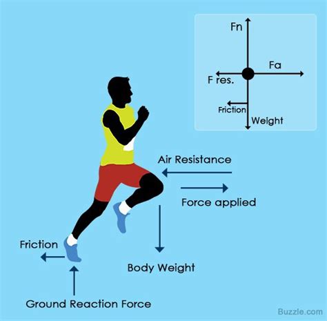 An Easy Guide To Understand Free Body Diagrams In Physics Body