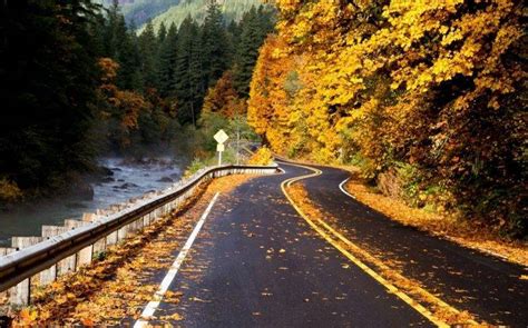 Photography Nature Landscape Road River Forest Fall
