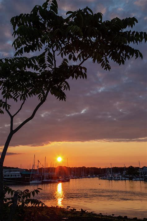 Milford Harbor At Sunset Photograph By Karol Livote Fine Art America