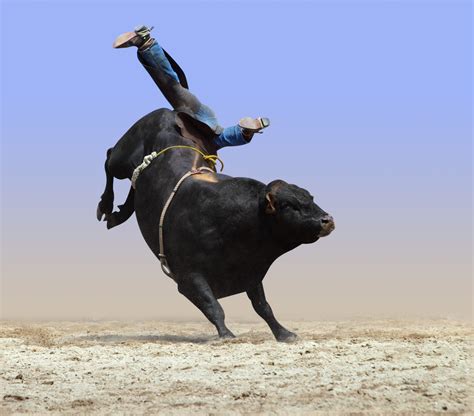 This is Why Kids Love Bull Riding