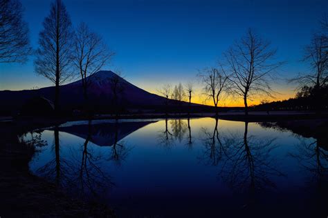 Free Wallpapers Japan Mount Fuji Night Sky Glow Lake Tree Silhouette
