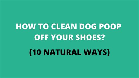 How To Clean Dog Poop Off Shoes 10 Natural And Simple Ways Youtube