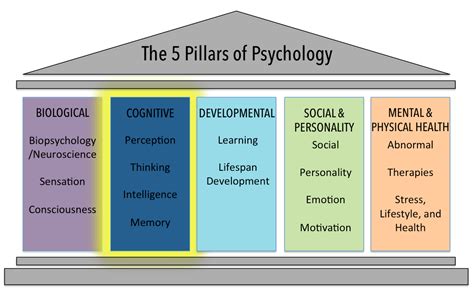 Pillar I Cognitive Psychological Science Understanding Human Behavior