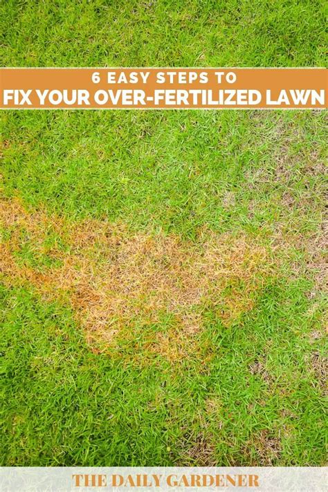 What To Do When You Over Fertilize Your Lawn