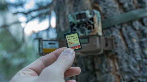 If you shoot in raw, do action photography or film video, our top pick is the sandisk extreme pro 128gb. How to Choose The Right SD Card for Trail Camera? - Trail ...