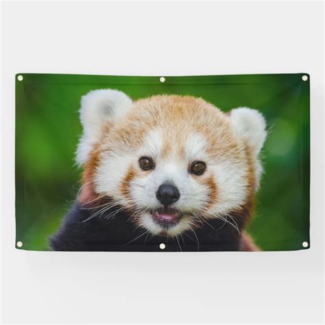 Red Panda Banner With Grommets Zazzle