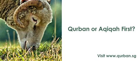 Ibadah Qurban or Aqiqah First? | IslamicEvents.SG Editorial
