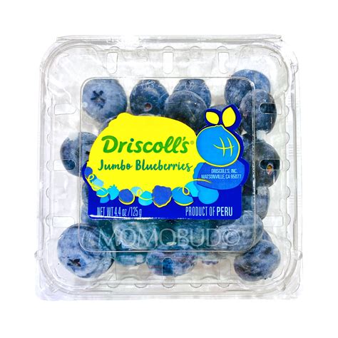 Peru Driscolls Jumbo Blueberry 125g Punnet — Momobud