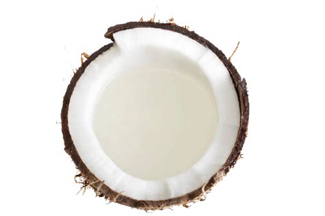 Coconut Png Images Transparent Background Png Play