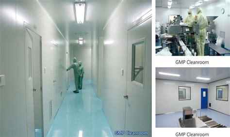 Gmp Cleanrooms