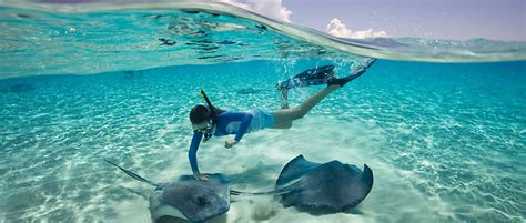 Best Turks And Caicos Excursions Day Trips And Tours