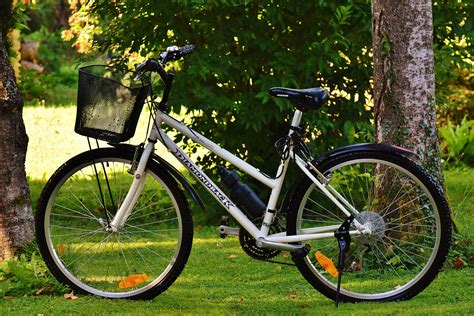 무료 이미지 자연 목초지 바퀴 환경 여가 건강한 주기 스포츠 장비 산악 자전거 사이클링 운동 무임 승차