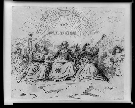 Political Cartoon National American Woman Suffrage Association