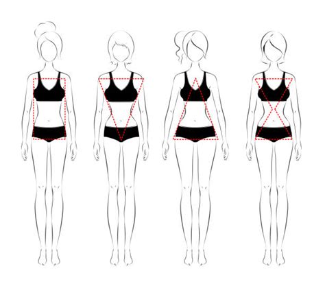 Outline Of Female Body Shape Illustrations Royalty Free Vector