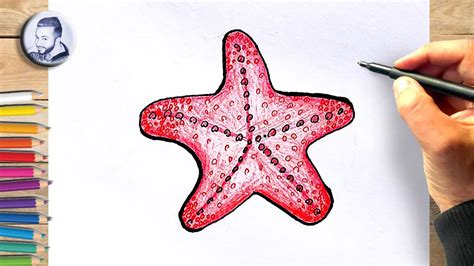 Comment dessiner une étoile de mer dessin facile - YouTube