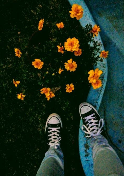 Aesthetic Tumblr Infp Aesthetic Aesthetic Photography Flowers Style