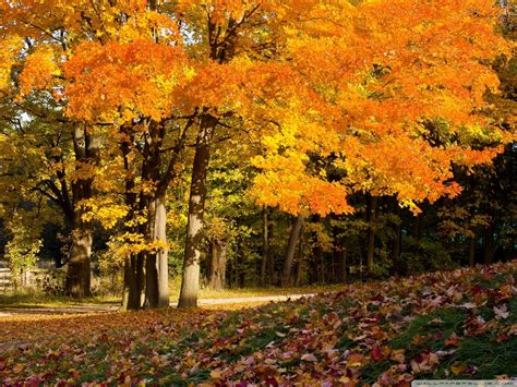 Photos Of Autumn Scenes Fall Scene Wallpapers Wallpaper Cave