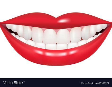 Beautiful Mouth Smile And Teeth Medical Royalty Free Vector