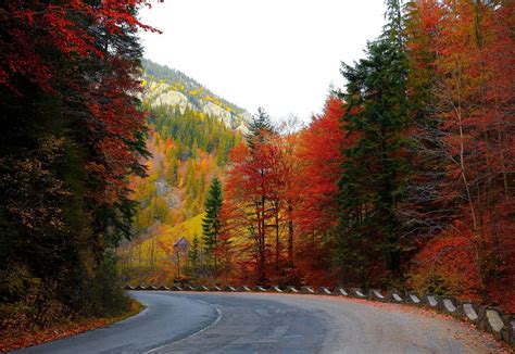 How To Experience Fall Colors On Talimena National Scenic Byway