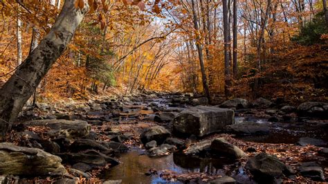 Wallpaper Autumn River Stream Stones Hd Picture Image