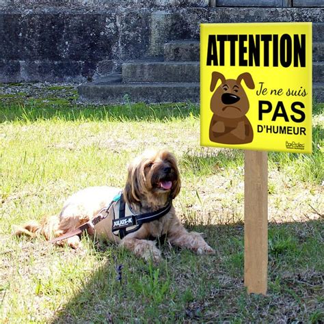 Panneaux Attention Au Chien Humour Boxprotec