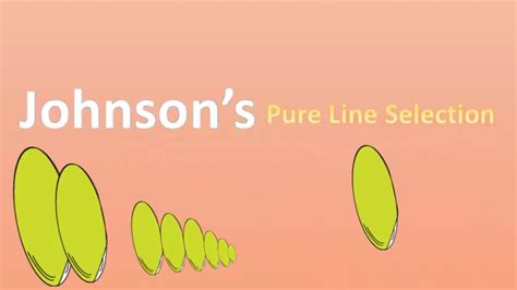 Johnsons Pure Line Selection Youtube