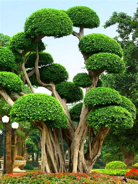 30 Of The Most Beautiful Trees In The World