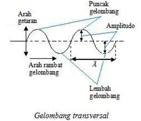 Gelombang Transversal | fisika gelombang
