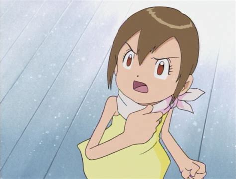 Digimon ♥ On Twitter Kari Kamiya Hikari Yagami Crest Of Light Partner Gatomon Kari Is
