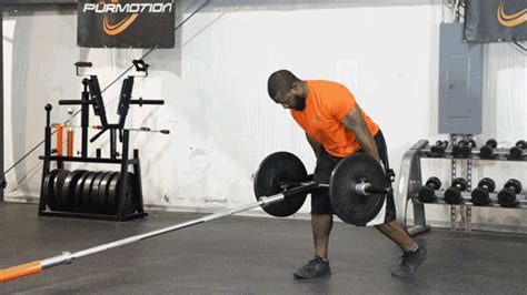 Dual Renegade Bars Have All The Benefits Of The Clean And Jerk