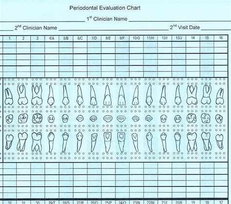 Periodontal Charting Template