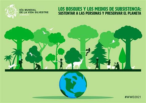 Día De La Naturaleza 10 Razones Para Proteger Nuestros Ecosistemas