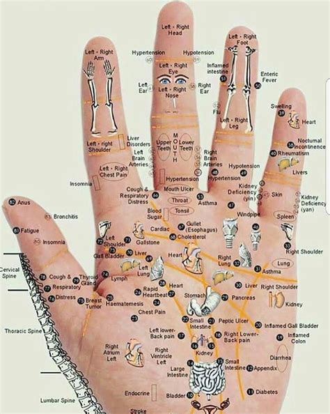 Pin By Valette Marilyne On Gesundheit Hand Reflexology Reflexology