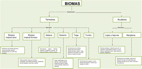 Mapas Conceptuales De Los Biomas Descargar